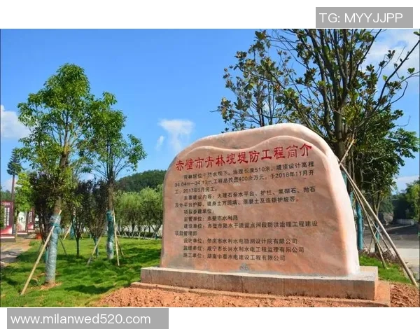 赤壁市篮球明星的崛起与发展:从地方小将到全国瞩目的运动员之路